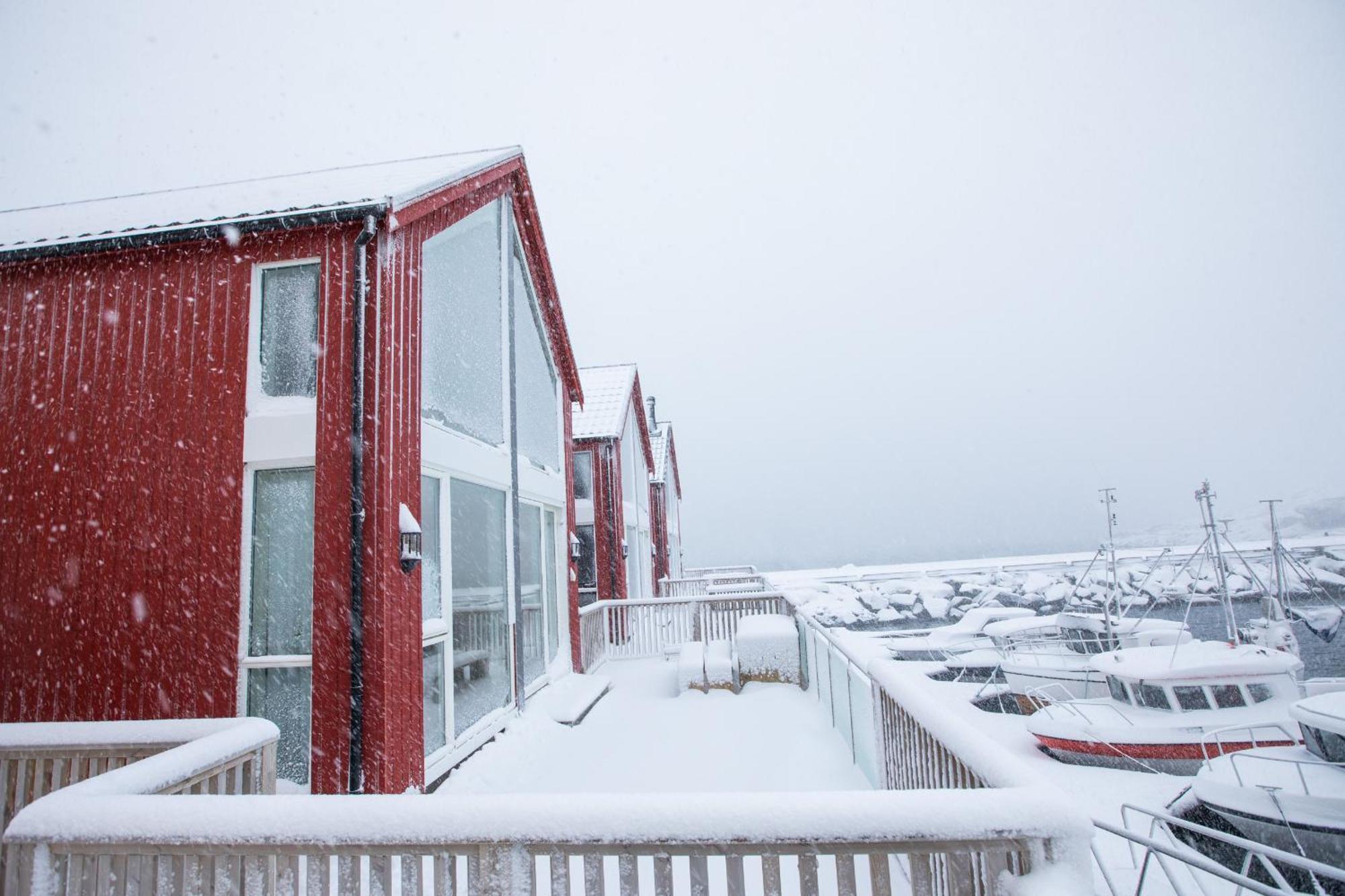 High Standard Lodge Ballstad Esterno foto